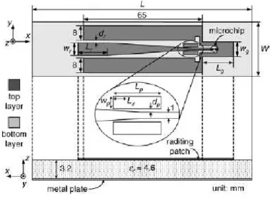 Fig. 2.6 – Geometria dell’antenna proposta 