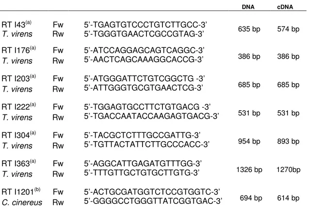 Tab. 3.  Sequences of PCR primers selected for lcc and lcc putative genes from the works of 