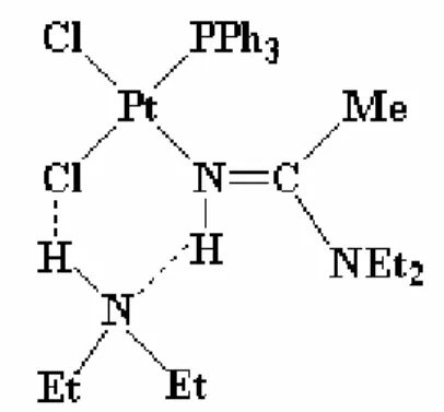 Figura 5. Ipotesi di addotto tra l’ammina e il complesso ammidinico in soluzione. 