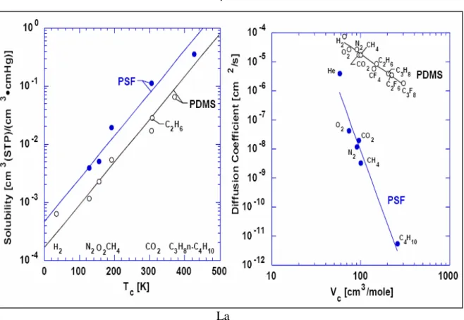 Figura 2.5 - Solubilità e diffusività di vari gas nei polimeri Polisulfone (PSF) e Polidimetilsilosano  (PDMS) [26] 