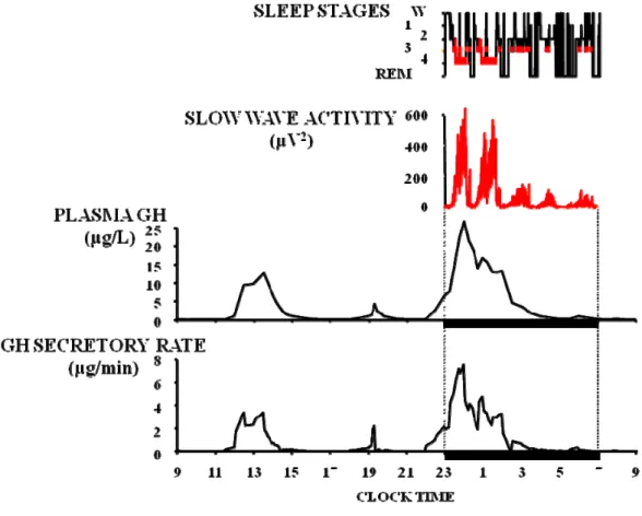 Fig. 5: temporal concomitance between GH secretory pulses and peaks of SWA in a young healthy 