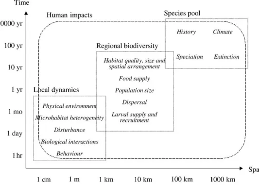 Figura  1.1  Diagramma  schematico  dei  principali  processi  che  operano  sulla  distribuzione  e  abbondanza  delle  specie  e  mantengono  la  biodiversità  a  diverse  scale spaziali e temporali