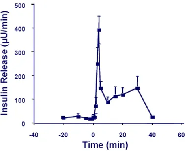 Figura 8 Rilascio di insulina in seguito ad un aumento di glucosio 