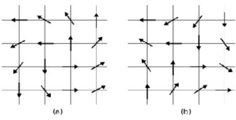 Figura 4.1: Vortice (a) e antivortice (b), su un reticolo bidimensionale. logaritmica, hexp(iX)i = exp &#34; M X j&lt;k=1 q j q kK ln  |r j − r k |ac  # 