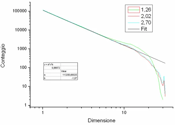 Fig.  4.1:  Conteggio  delle  cascate  in  funzione  della  loro  dimensione  per  tre  diversi valori di µ