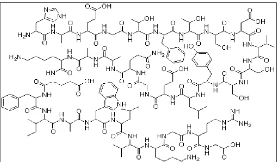 Figura 5. Struttura molecolare del GLP-1. 