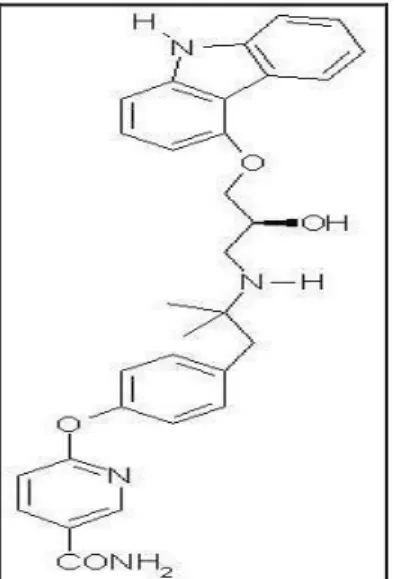 Figura 9. Struttura molecolare dell’exenatide. 