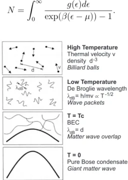 Figure 3.1: When the temperature of the gas is high enough, the quantum nature of the particles can be neglected and the system obeys Boltzmann statistics