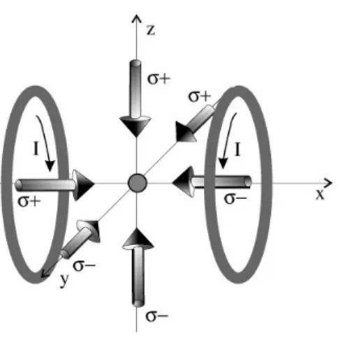 Figure 3.6: Laser beams and magnetic coils configuration in a standard 3D MOT.
