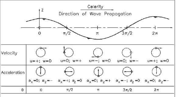 Fig. 4.3.1-2 – Velocita e accelerazioni locali di particelle fluide