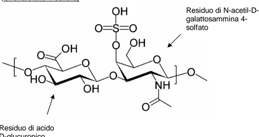 Figura 4. Struttura di un glicosaminoglicano (Condroitin Solfato A). 
