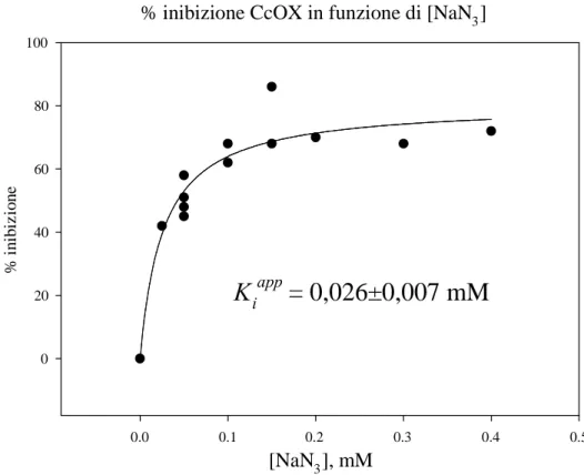 Figura 1.6. Grafico di inibizione della CcOX da sodio azide.