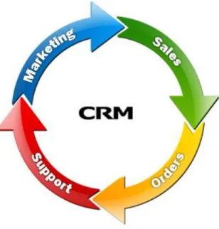 Fig. 4 : Ciclo Market-oriented. 