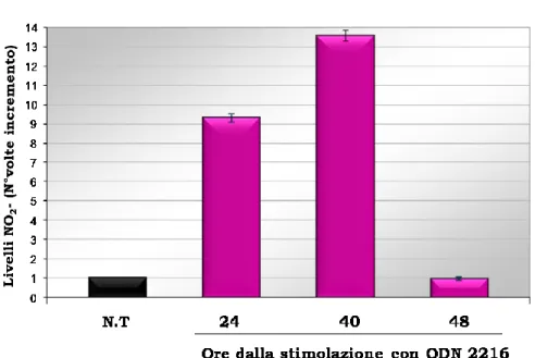 Figura  XVIII:  Dosaggio  delle  produzione  di  NO  utilizzando  come  stimolo  ODN  2216  