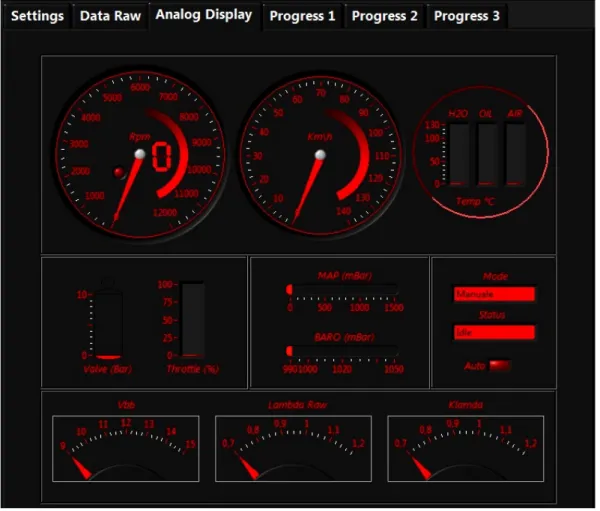 Figura 2.9: Screenshot della finestra Analog Display del software E-Team