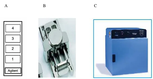 Figura 8 A: Vetrino coprioggetto; B: Cameretta di ibridizzazione  ; C: Stufa di ibridizzazione