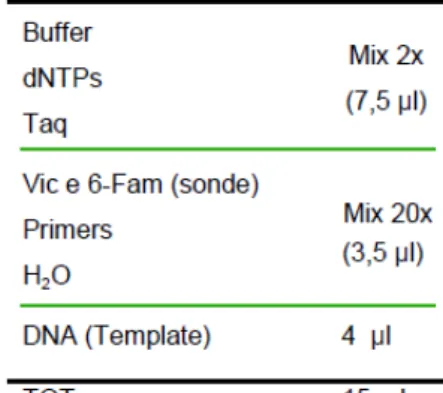 Figura 3.7 Attribuzione dei genotipi per il polimorfismo -308 G&gt;A (rs1800629) del TNF- α   
