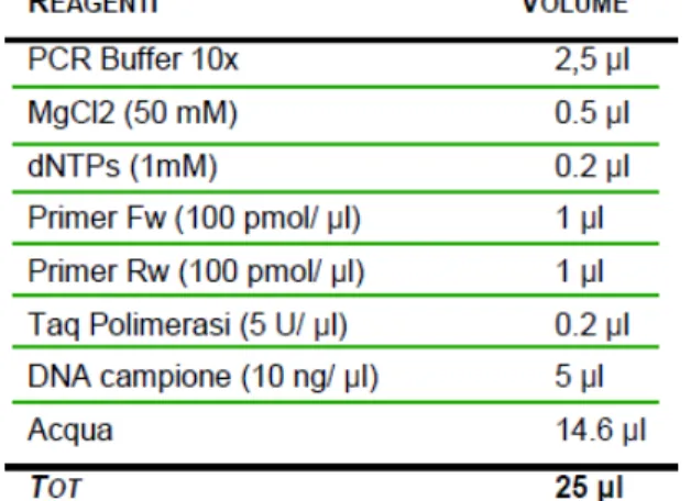 Tabella 3.5 Reagenti per la PCR 