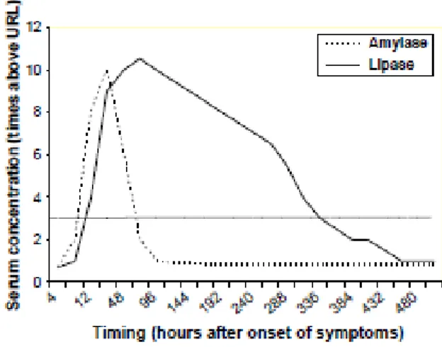 Fig. 4. Andamento temporale della concentrazione dell‟ amilasi e della lipasi nella pancreatite acuta