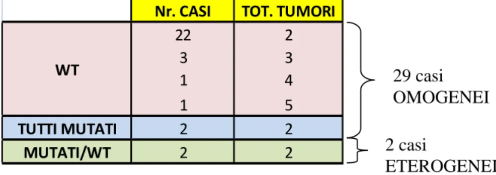 Tabella 7: Risultati dell’analisi mutazionale dell’esone 15 del gene BRAF.   29 casi sono  risultati omogenei, di cui 27 wild-type  (22 casi presentavano 2 tumori, 3  casi 3 tumori, 1 caso 4 tumori e 1 caso 5 tumori) e  2 mutati per ciascun tumore presente