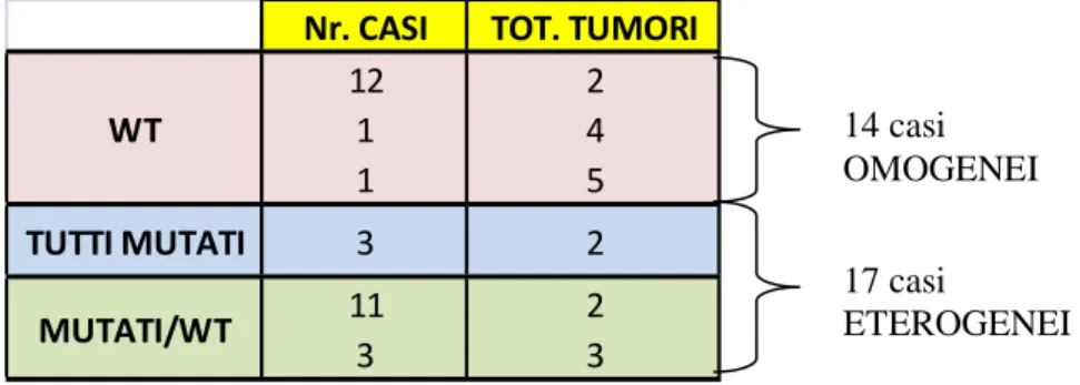 Tabella 1: Casi omegenei ed eterogenei per lo stato mutazionale dei codoni 12 e  13 dell’esone 2 del gene Kras