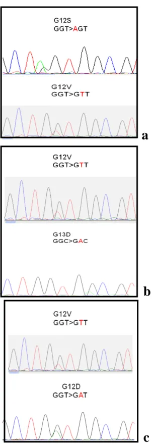 Figura  17:  Elettroferogrammi  dei  tre  pazienti  (a,  b,  c)  che  hanno  riportato  tutti  i  tumori  sincroni mutati