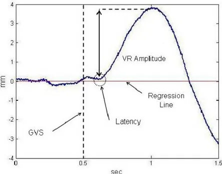 Figure 10: Vestibulo Spinal Reex. The dashed line indicates the beginning of the electric stimulation