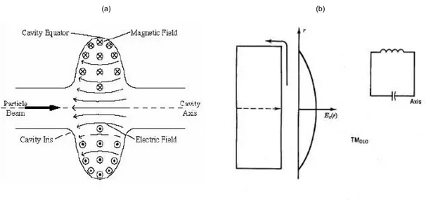 Figure 1.2: Field distribution in a cell(a). Electrical field and equivalent circuit of a cylindrical cavity 