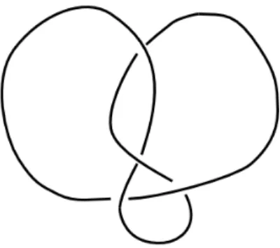 Figure 5.2: Figure 8 knot, the most famous example of hyperbolic knot.
