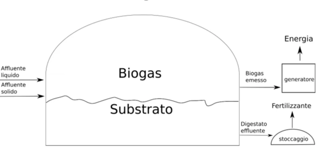 Figura 2: Schema del digestore