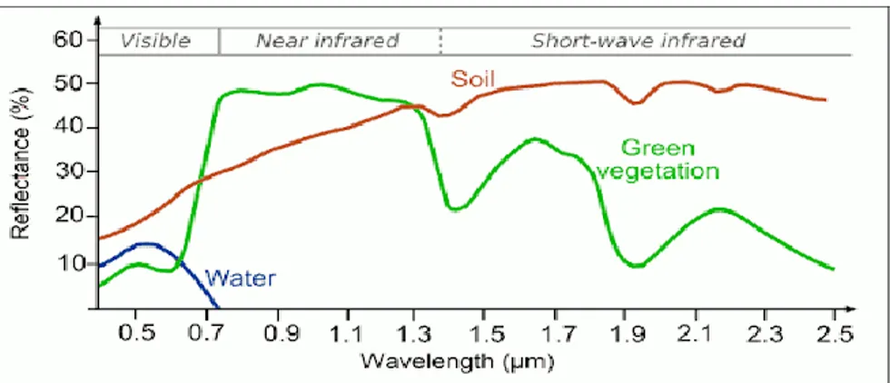 Figura 1.7: firme spettrali di suolo, vegetazione e acqua calcolate nel visibile, vicino  infrarosso e nel corto infrarosso.