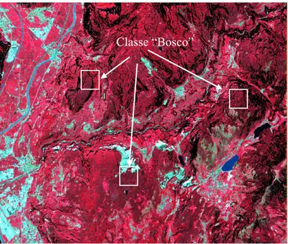 Figura 3.11: ritaglio dell’immagine satellitare Sentinel-2, osservata con combinazione di colori “Infrarosso in falso  colore” RGB (8,4,3)