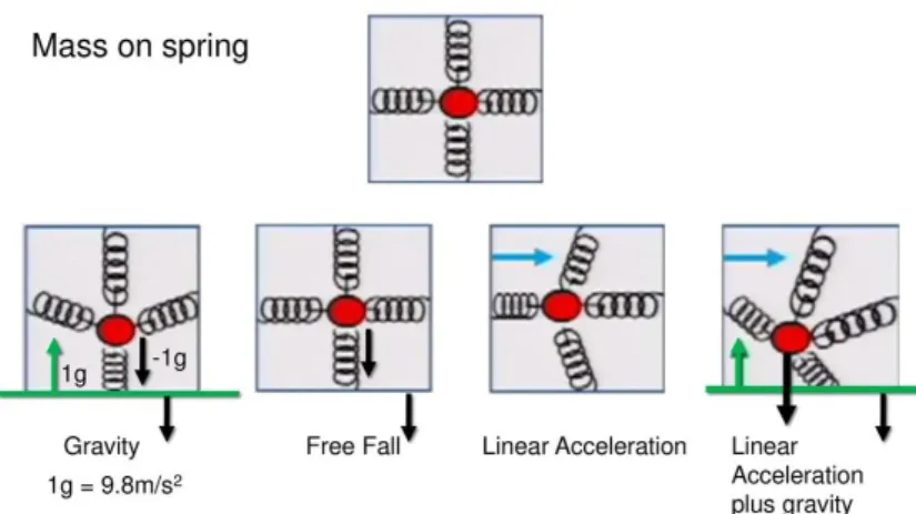 Figura 2.1: Schema di funzionamento dell'accelerometro [14]