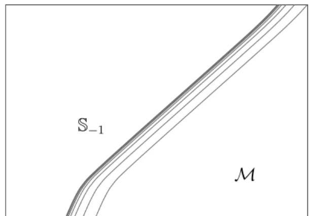 Figure 12: S 1 and other curves that accumulate at S 1 form the extended singularity