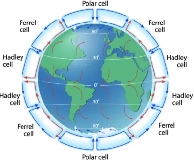 Figure 1.2: Atmospheric circulation patterns: troposphere (credit: Internet ge-