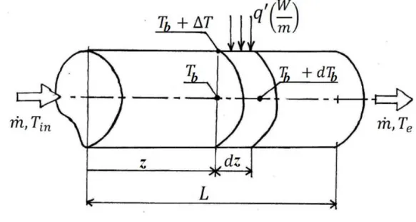 Figura 4.1: bilancio entropico. 