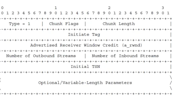 Figura 2.6: Struttura del chunk INIT (Type = 1)