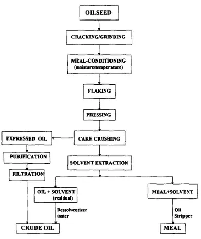 Figura 6. Processo convenzionale di estrazione pressurizzata per semi oleosi (Rosenthal &amp; 