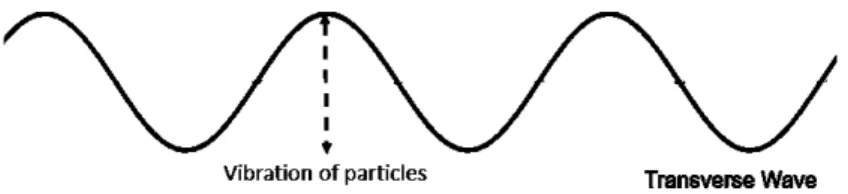 Figura 2.2: Rappresentazione di un’onda trasversale che si propaga lungo la direzione orizzontale [11].