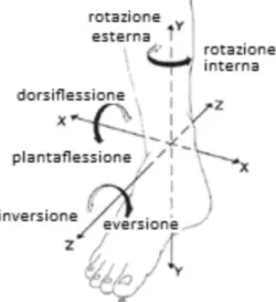 Figura 6. Le rotazioni della caviglia lungo i tre assi X,Y,Z. 