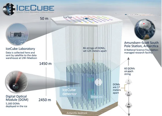 Figure 1.5: A side view of the IceCube Neutrino Observatory. Credits: IceCube.