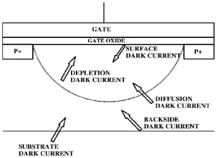 Figura 10 Principali contributi di Dark Current [9] 