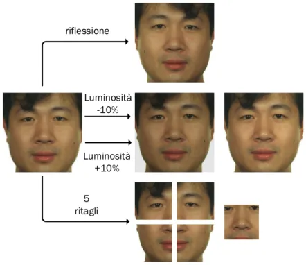 Figura 4.1: Rappresentazione delle trasformazioni di data augmentation effettuate su un volto