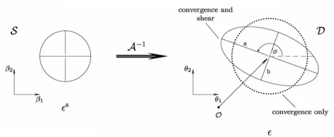 Fig. 2.3. Circular image distortion into an ellipse due to convergence and shear. Figure from S