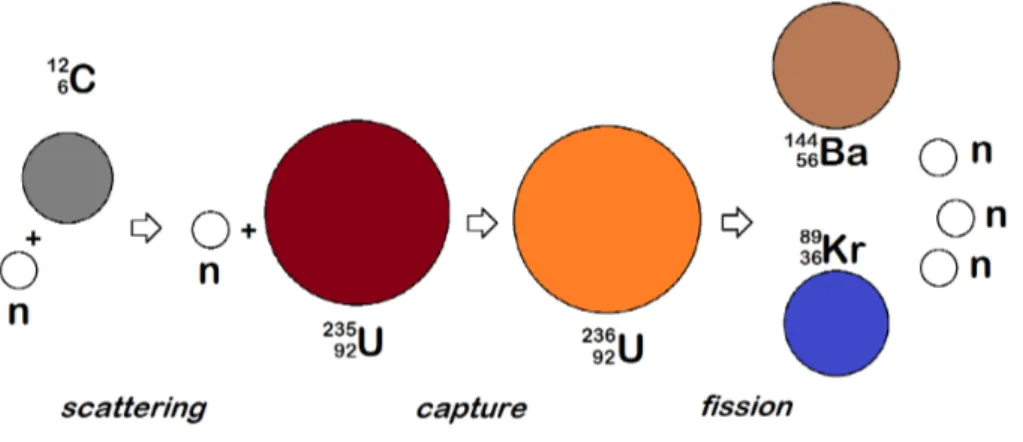 Figure 2.1: Diagram of a neutron elastically scattering on a 12 6 C nucleus, then hitting a 235 92 U atom and causing fission