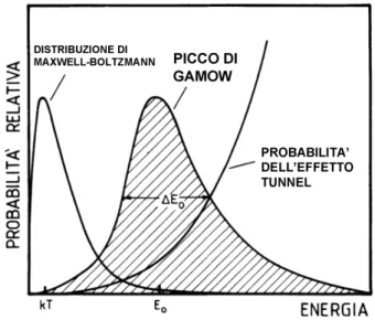 Figura 1.3: Distribuzione di Maxwell delle energie, fattore di Gamow e loro prodotto.