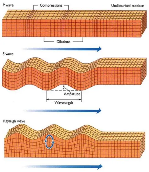 Figure 2.5: P, S and Rayleigh waves 