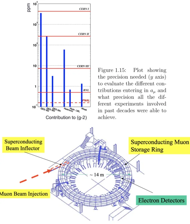 Figure 1.15: Plot showing the precision needed (y axis) to evaluate the different  con-tributions entering in a µ and