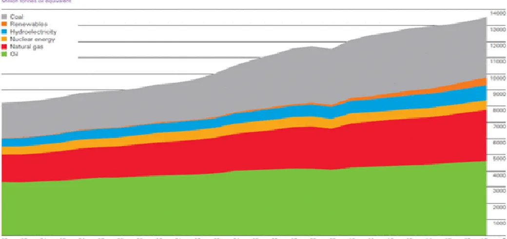 Figura 1: Consumo mondiale di energia in base alla fonte [1]. 