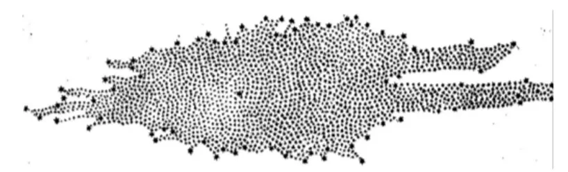 Figura 1.2: modello della galassia secondo William Herschel, 1785